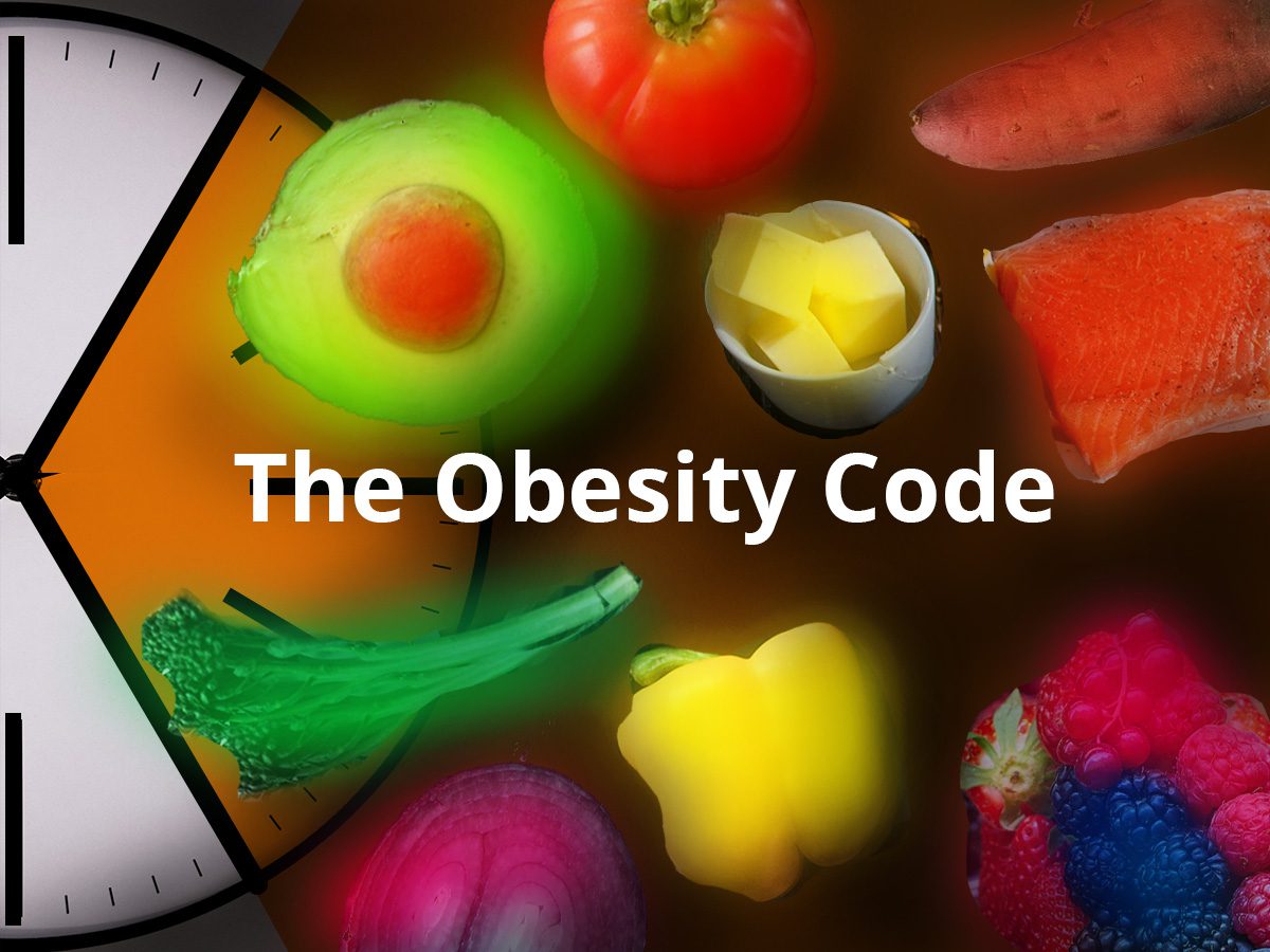 The Obesity Code Summary 📖 7 Rules, Tricks & Strategies